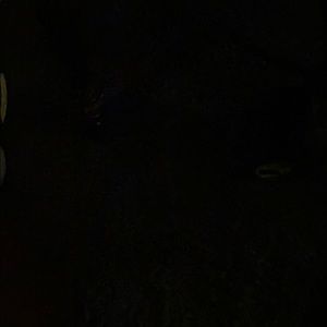 Meet your Posher, Ed teamnogas